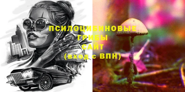 spice Березники